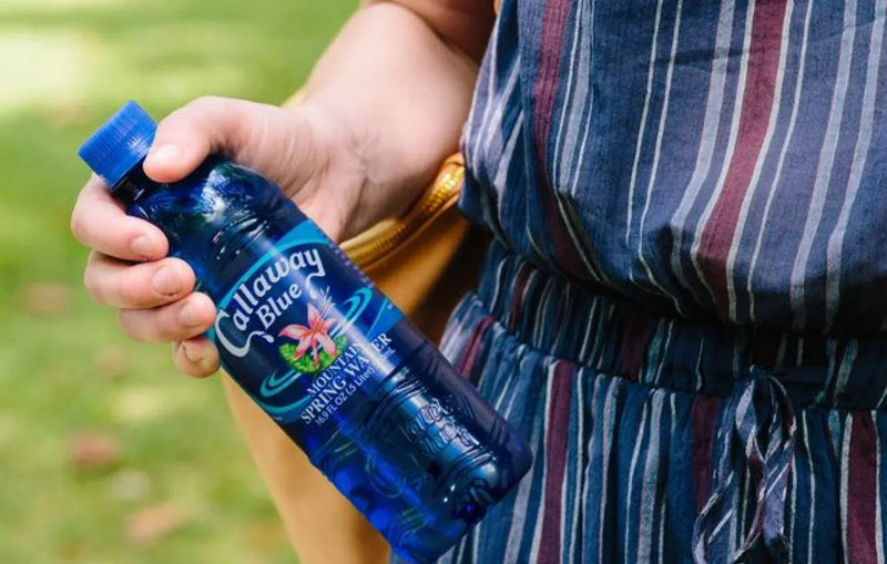 Atlanta Water Delivery: Should Your Business Choose Spring or Purified Water?