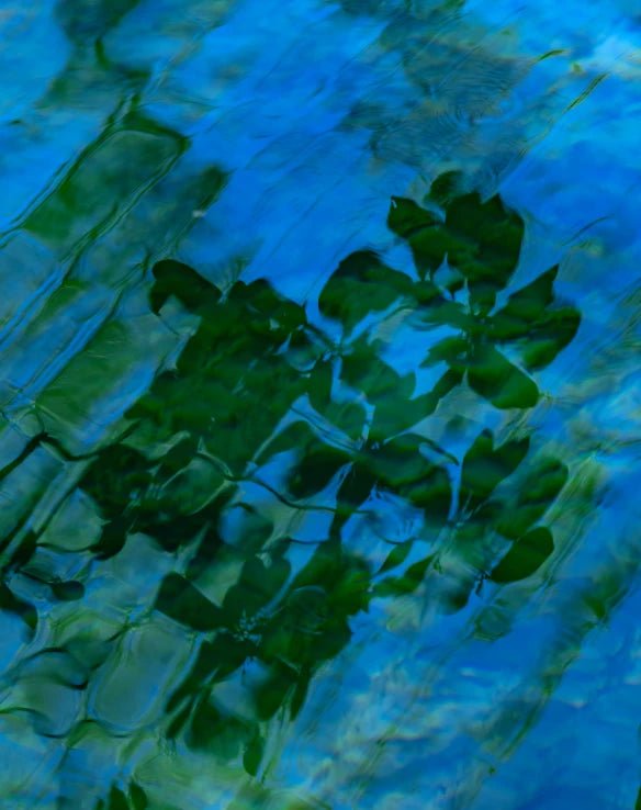 Grid Image 3